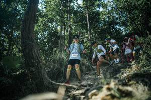 BIB: 
                            <button type="button" onclick="openModal(25983850)" class="btn btn-primary btn-sm float-right btn-popup" data-toggle="modal" data-target=".modal-high-quality">
                        <i class="fas fa-shopping-cart"></i> Add to Cart
                    </button>
                                            <button type="button" onclick="isThisMe(25983850, true)" class="btn btn-success btn-sm float-right btn-popup btn-isme hidden" data-toggle="tooltip" data-placement="bottom" title="นี่คือรูปของคุณใช่ไหม คลิกที่นี่เพื่อเอาเข้าอัลบั้ม">
                        <i class="fas fa-plus"></i> Add to album
                    </button>
                    <button type="button" onclick="isThisMe(25983850, false)" class="btn btn-warning btn-sm float-right btn-popup btn-isnotme hidden">
                        <i class="fas fa-ban"></i> Remove from album
                    </button>